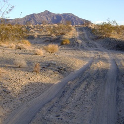 2009, Fall: Mojave National Preserve