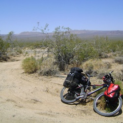2009, Spring: Mojave National Preserve