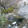 Impact—that tiny spring out in the Death Valley backcountry did contain a wee bit of life-giving water.