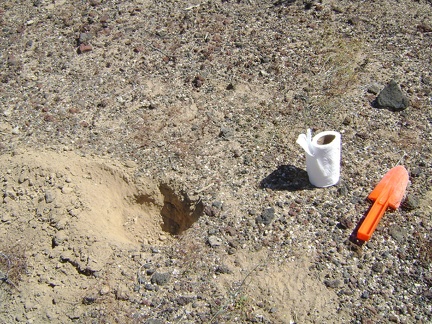 The earth is a bit easier to dig here near Button Mountain than over at Pachalka Spring