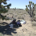 After one last camp breakfast and a pot of tea, I take down the tent while enjoying the Cima Dome joshua tree forest