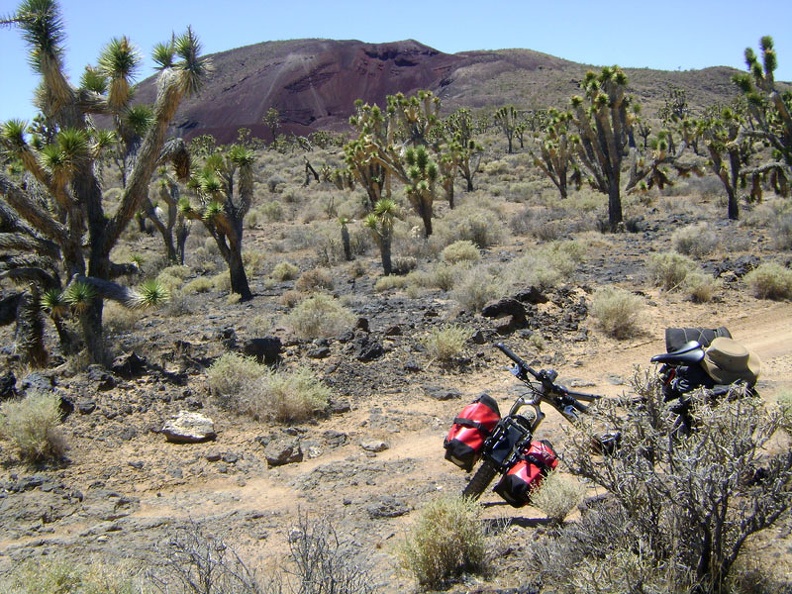 I pause briefly on the rough road to look back through the joshua trees at the Cima mining area in the background