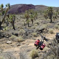 I pause briefly on the rough road to look back through the joshua trees at the Cima mining area in the background