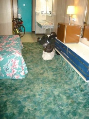 Plush green carpet in my room at the Royal Hawaiian Motel