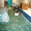 Plush green carpet in my room at the Royal Hawaiian Motel