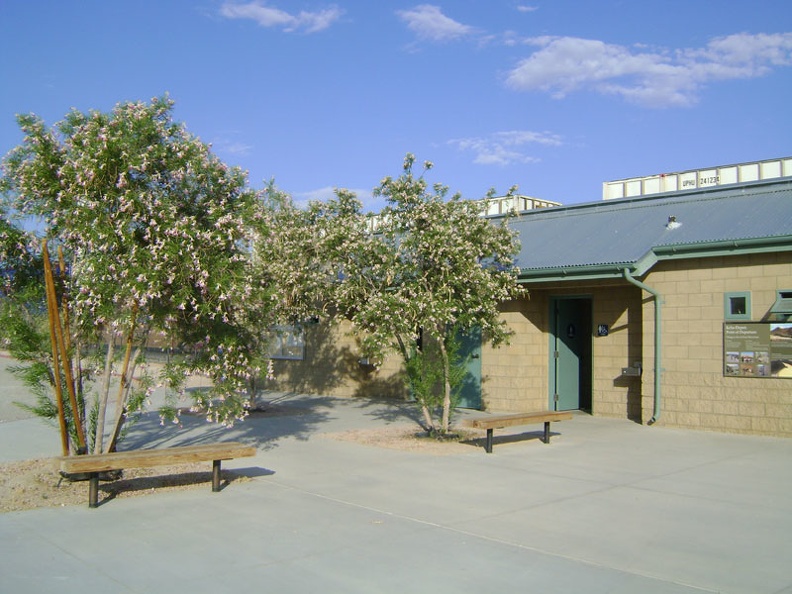 Desert willows bloom and attract hummingbirds outside the Kelso Depot bathroom building