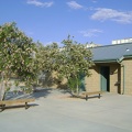Desert willows bloom and attract hummingbirds outside the Kelso Depot bathroom building
