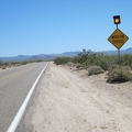 A few miles further up Kelbaker Road is the "watch for tortoises" sign; I still haven't seen one yet