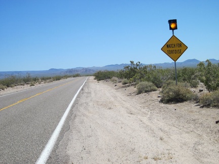 A few miles further up Kelbaker Road is the &quot;watch for tortoises&quot; sign; I still haven't seen one yet