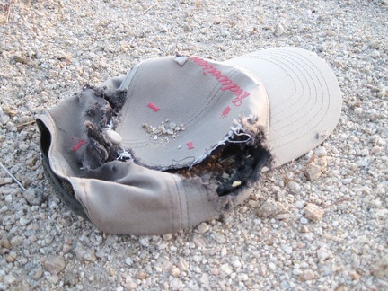 I chuckle when I find a Budweiser-decorated cap on the powerline road