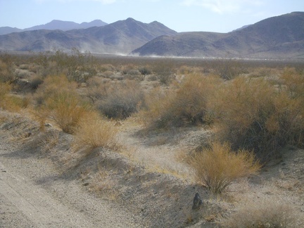 From &quot;10-mile bend&quot; on Kelbaker Road, I can see the dust from four-wheel-drive vehicles travelling the old Mojave Road
