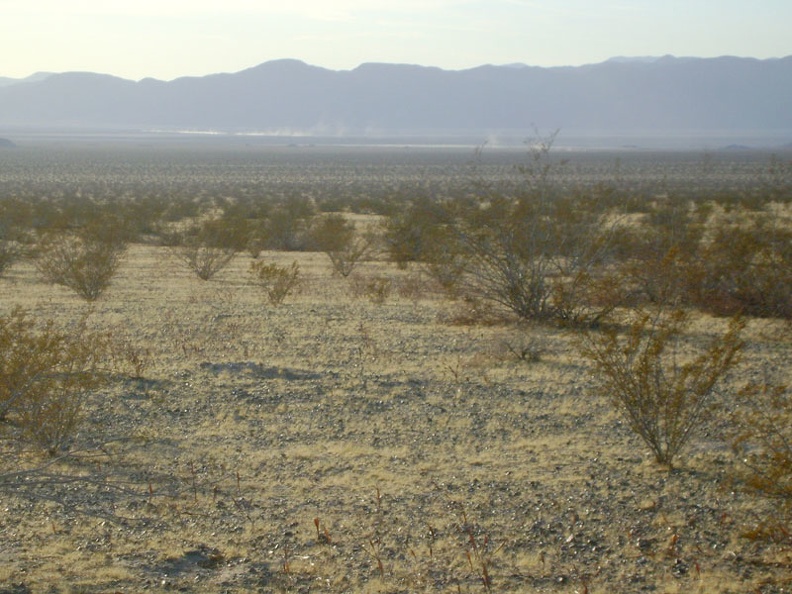 Off in the distance, down toward Soda Lake, I can see dust plumes from the dirt bikers that passed me a while ago