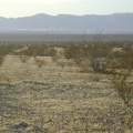 Off in the distance, down toward Soda Lake, I can see dust plumes from the dirt bikers that passed me a while ago