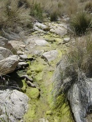 Today, some moisture, mud and algae remain in the otherwise-dry creek at North Coyote Springs
