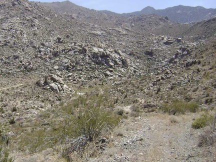 The road rises steeply up from the North Coyote Springs creek; I look behind me to see how much I've risen in such a short time