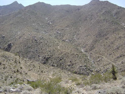 I get my first view down into the gorge of Devil's Playground Wash and the old mining road that rises up the other side