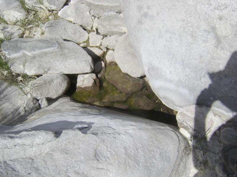 One very small pool of water remains between some rocks in Devil's Playground Wash right now; it's otherwise dry down here