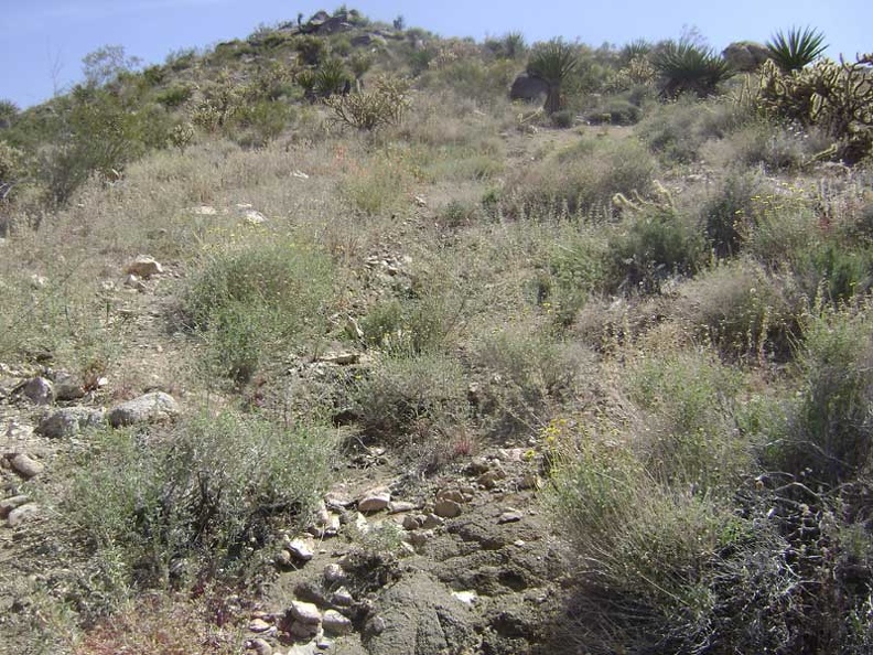 The highly eroded road gets confusing to follow in a few spots