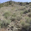 The highly eroded road gets confusing to follow in a few spots