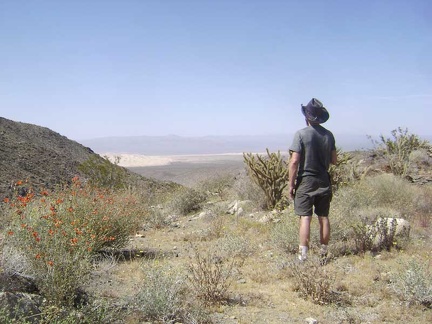 I stop for a break and a Clif bar on a small flat area to take in the view of the Kelso Dunes that has been behind me