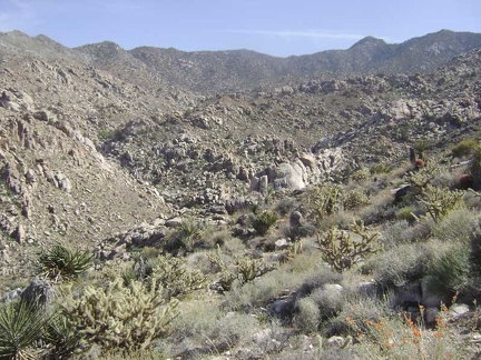 While sitting here, I ponder the view to my right further up Devil's Playground Wash in Bighorn Basin