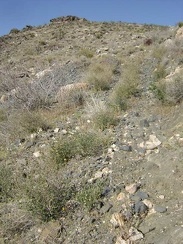 The climb up the old road over the tailings pile is steep