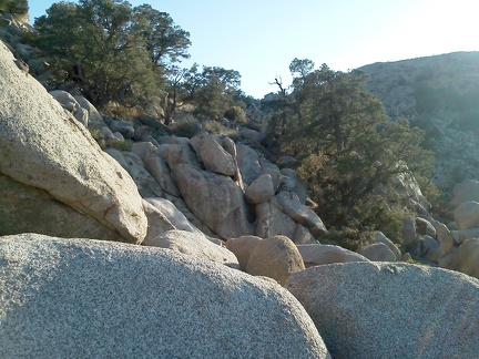 I need to climb up over that ridge to my right to get back to the Barnett Mine area