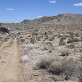 The road to the Barnett Mine area, about 1.5 miles long, is rough and slightly uphill