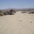 I arrive at "sand-pit junction" again, where the shortcut road joins up with the middle fork of Globe Mine Road