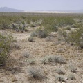 As I hike across the fan, I rise slowly and can see Kelso Dunes down below when I look behind me