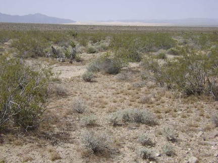 As I hike across the fan, I rise slowly and can see Kelso Dunes down below when I look behind me