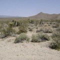 Glancing north, I see a piece of the north fork of Globe Mine Road slithering around a hill