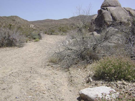 I continue walking up the wash toward Bolder Spring