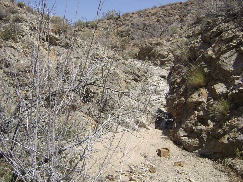 The old road to Bolder Spring is leaving the fan in favour of the foothills, and the scenery is becoming more intimate