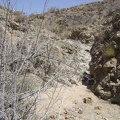 The old road to Bolder Spring is leaving the fan in favour of the foothills, and the scenery is becoming more intimate