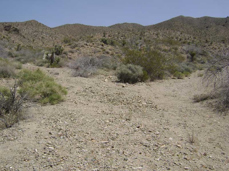 I hike a little further up Bolder Spring wash and reach a fork