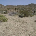 I hike a little further up Bolder Spring wash and reach a fork