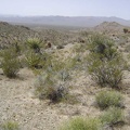 Climbing out of the wash, I look back and see the crevice that I just hiked cutting across the foothills