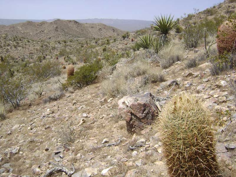 As I approach a saddle on the hills, a large rock along the way invites me to sit on it a rest for a few minutes