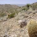 As I approach a saddle on the hills, a large rock along the way invites me to sit on it a rest for a few minutes