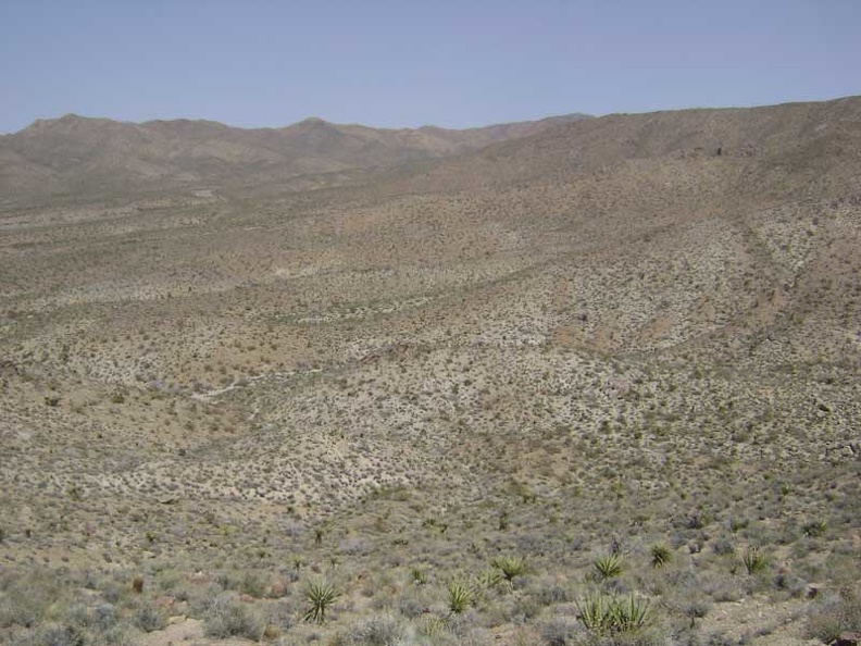 View to the east from the summit of hill 1161 near Globe Mine Road