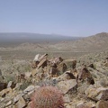 I make it to the summit of "Hill 1161" (as labelled on my map) at 3700 feet and look to the north toward Cima Dome