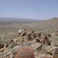 I make it to the summit of "Hill 1161" (as labelled on my map) at 3700 feet and look to the north toward Cima Dome