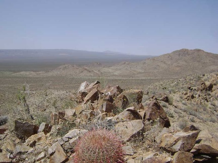 I make it to the summit of "Hill 1161" (as labelled on my map) at 3700 feet and look to the north toward Cima Dome