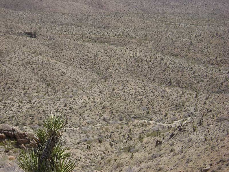 Looking straight down into Bolder Spring wash from above around hill 1161