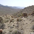 I pick my way along the ridge line, avoiding barrel cacti and other pricklies