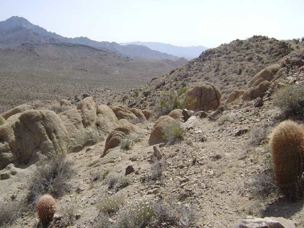 I pick my way along the ridge line, avoiding barrel cacti and other pricklies