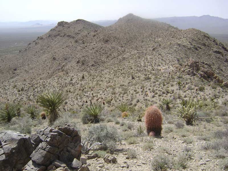 I'm having a great time up here on the ridge top; the only question is how I'll get down