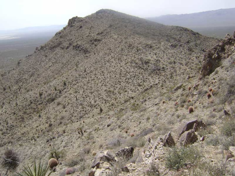 Skirting around the boulders and barrel cacti