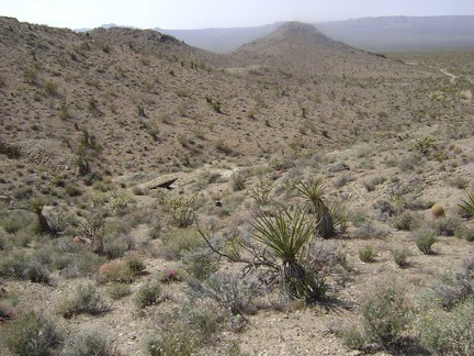 Toward the bottom of the hill, I approach the first of two unnamed mine sites just off the north fork of Globe Mine Road